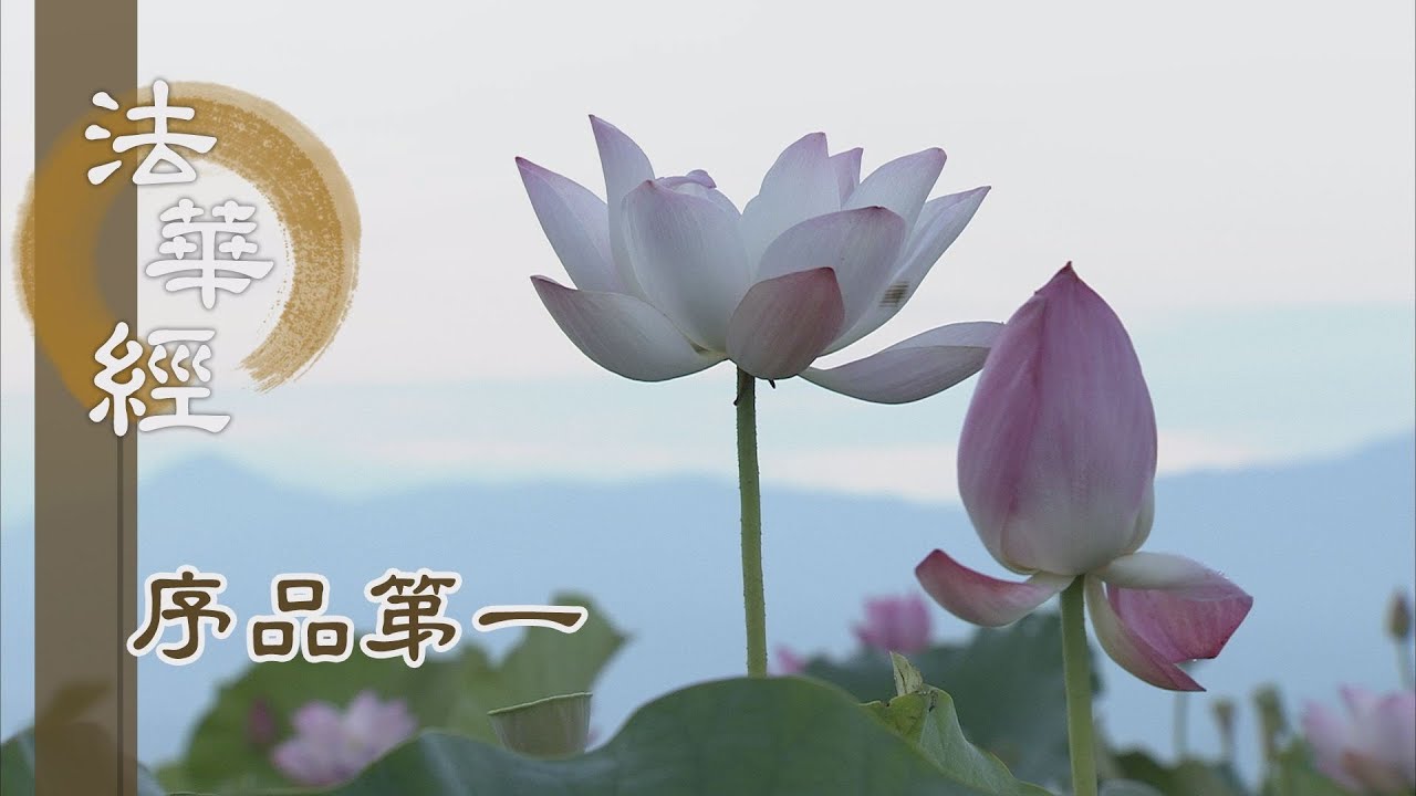 【靜思妙蓮華】法華經序品第一 - 以慈修身 善入佛慧 - 20191206 第62集