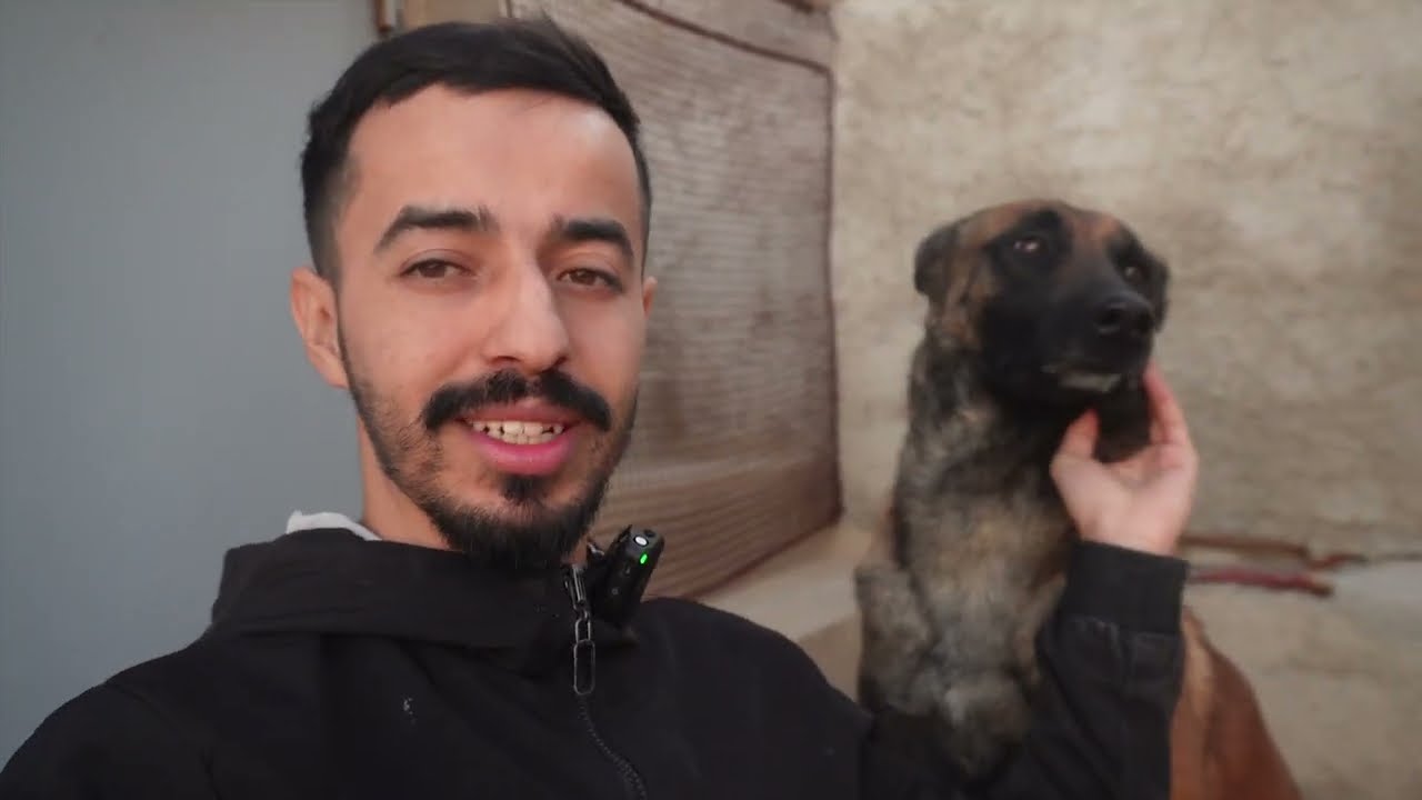 رجعنا