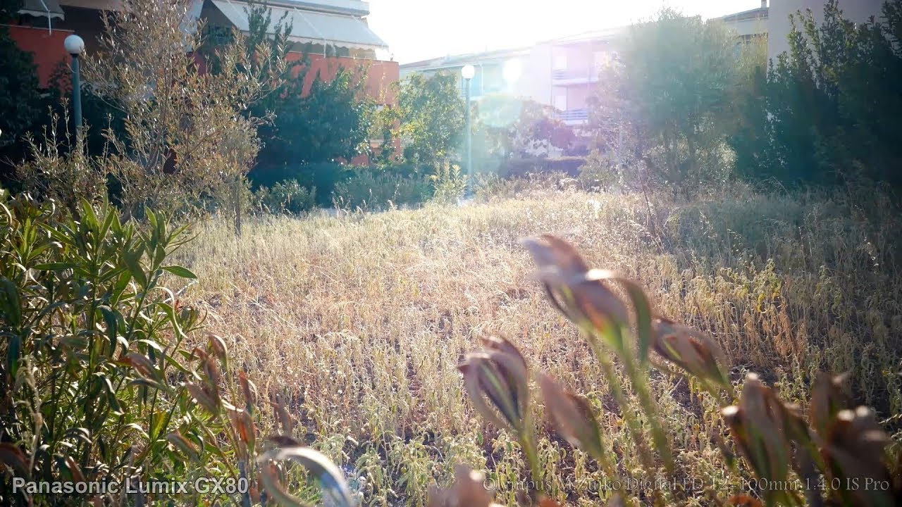 lumix gx80/85 test video 1080p 50p