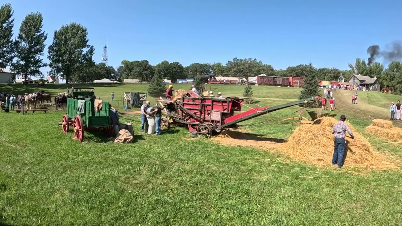 Thrashing grain and bailing straw with draft horses at rollag wmstr 2025