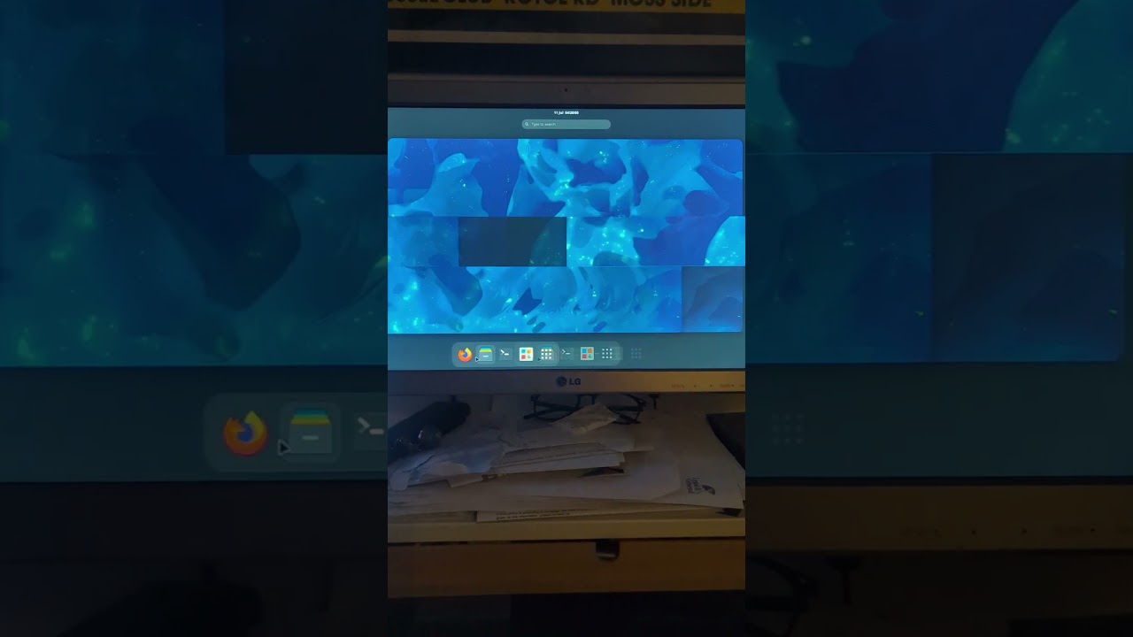 Manjaro display issue