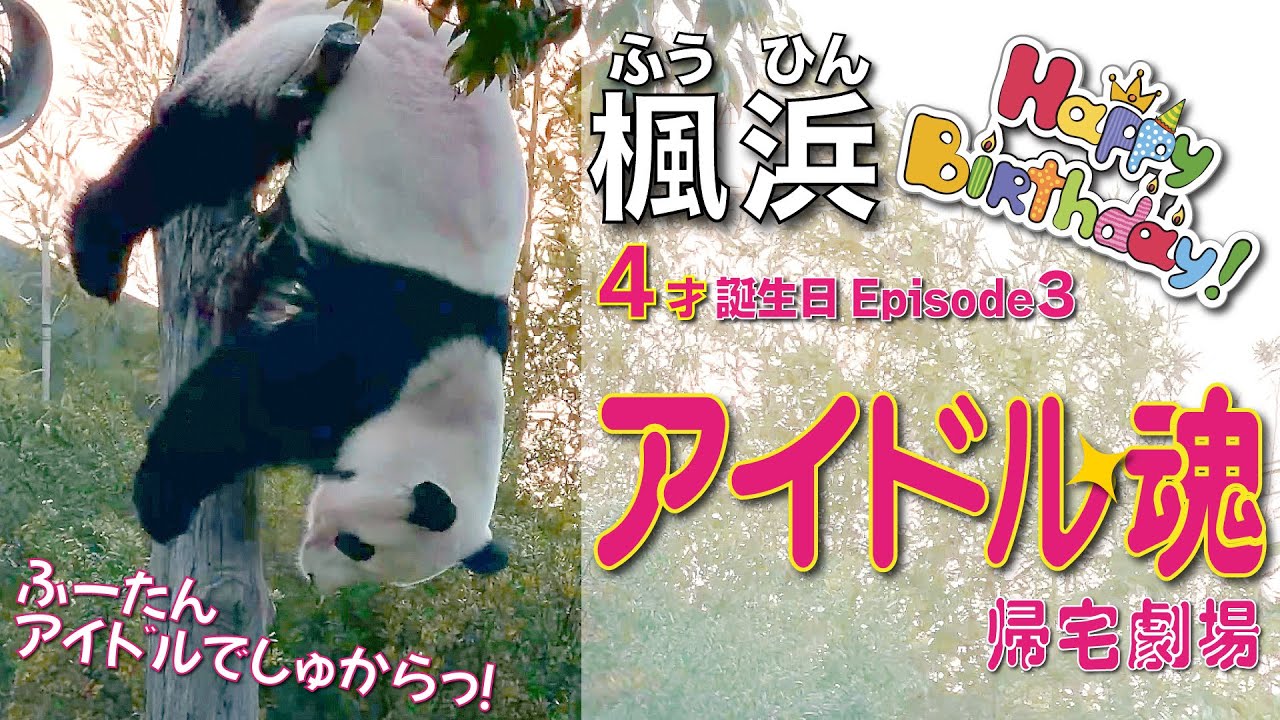 【楓浜（ふうひん）】4才誕生日のラストに魅せたアイドル魂💖のはずが気に入らなくてプチオコ💢の帰宅劇場