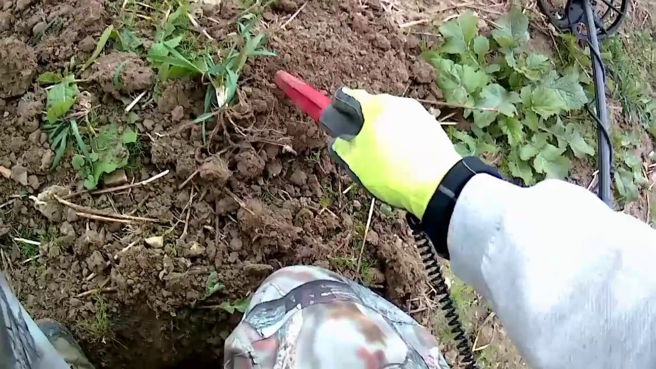 Nokta/Makro Simplex + na poli (field test)
