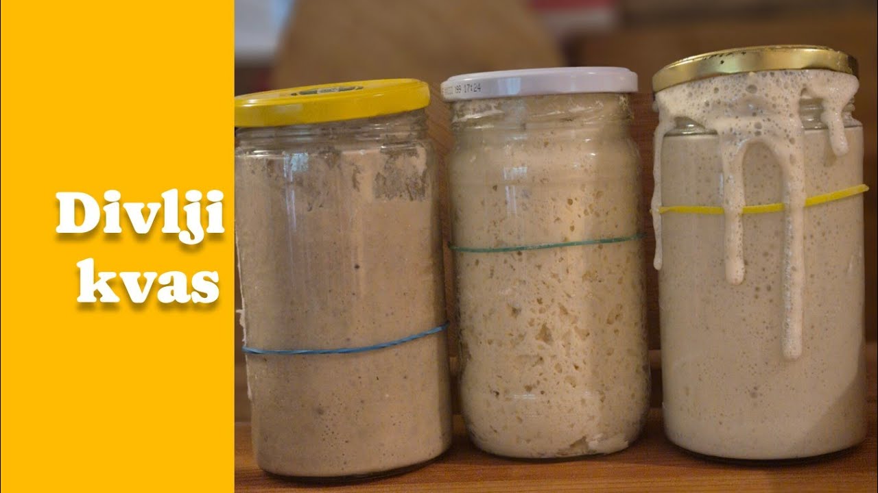 Izrada divljeg kvasa ili startera za Sourdough kruh ili kruh od kiselog tijesta 🥖🥖❤️❤️🥰