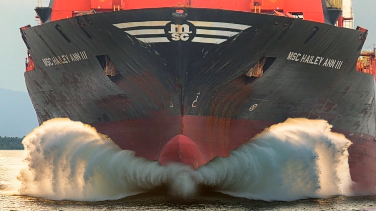 The Art of Ship Spotting -  Shapes, Sizes, and Spectacle #shipspotting