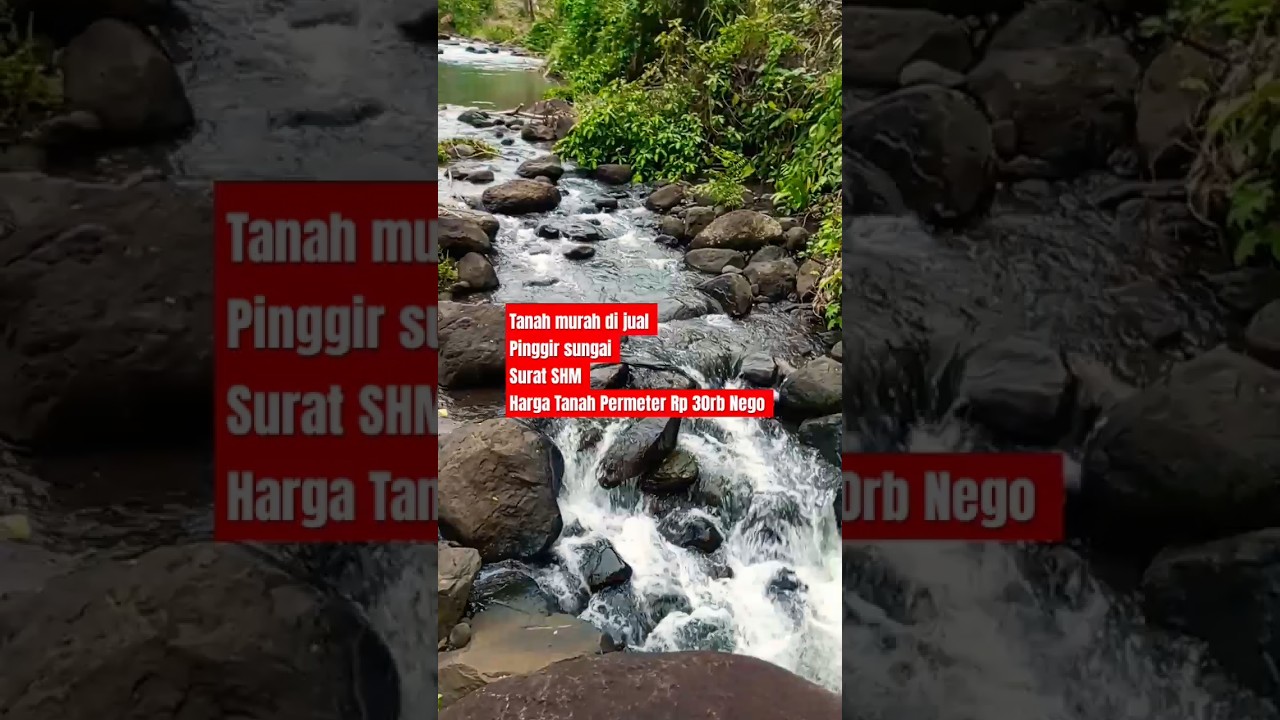 Di Jual Tanah Murah Pinggir Sungai sumber mata air Rp 30 ribu Rupiah Nego SHM #shorts #fyp #village