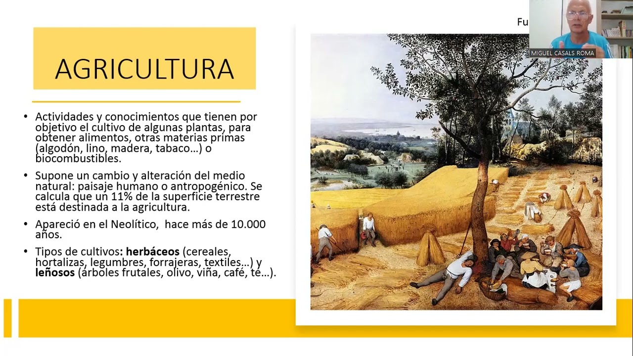 El sector primario I: agricultura y ganadería (Videoclase Geografía de la Economía).