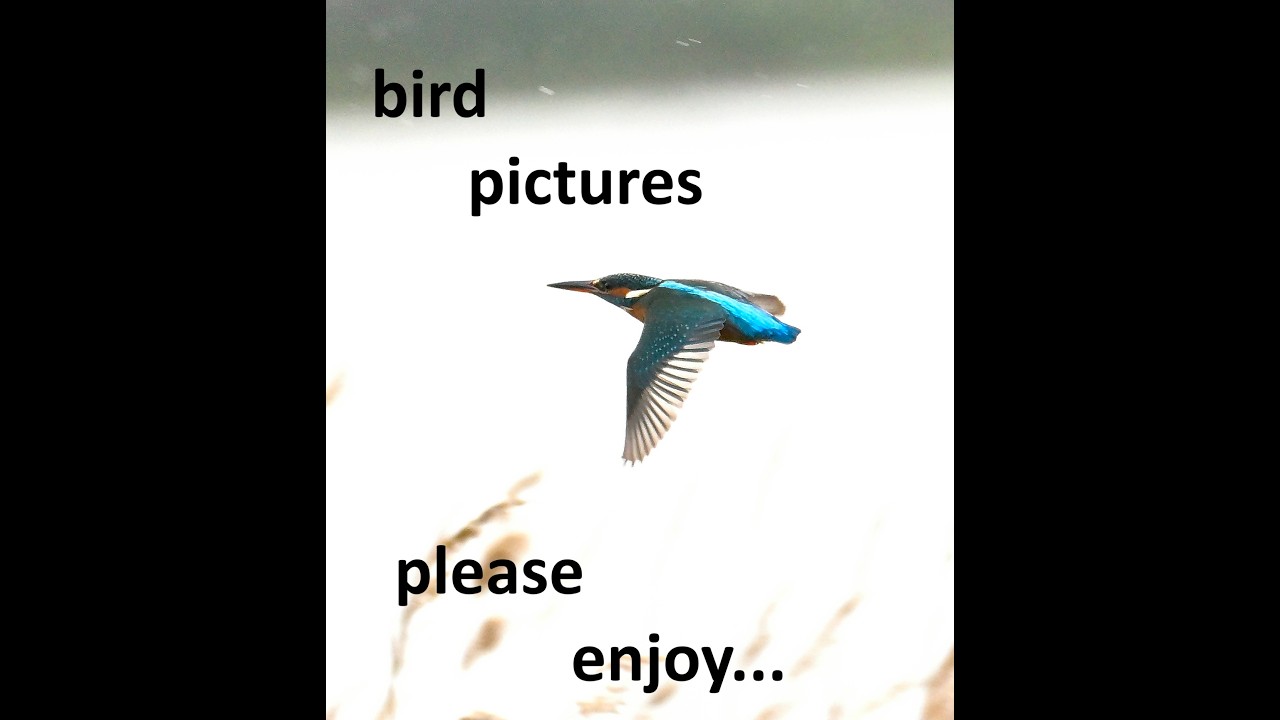 well i had fun making this video, i hope you enjoy my efforts editing these pictures. please enjoy..