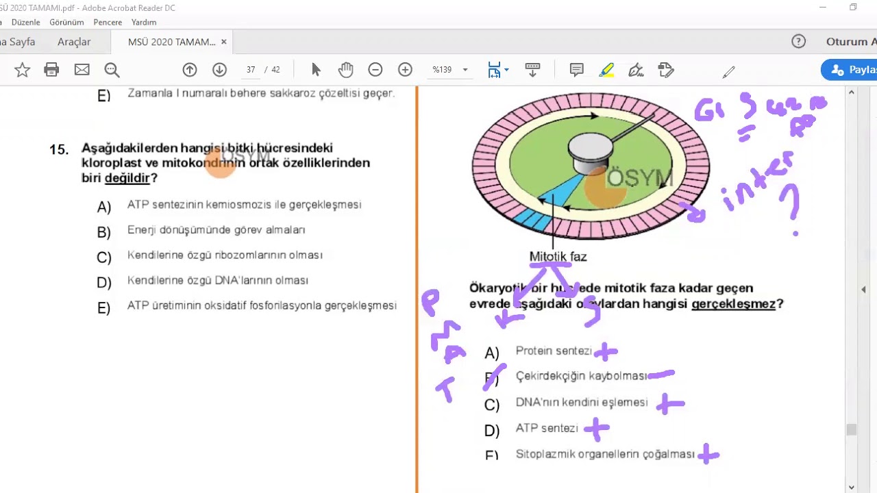 MSÜ 2020 BİYOLOJİ SORULARININ ÇÖZÜMÜ
