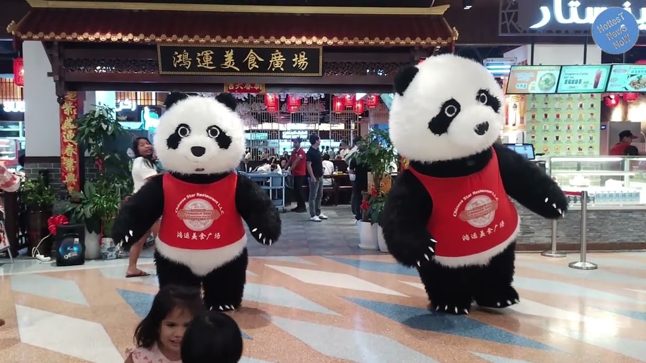 Dancing Panda
