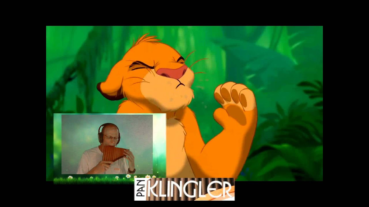 Circle of life - Panflöte - Panflute