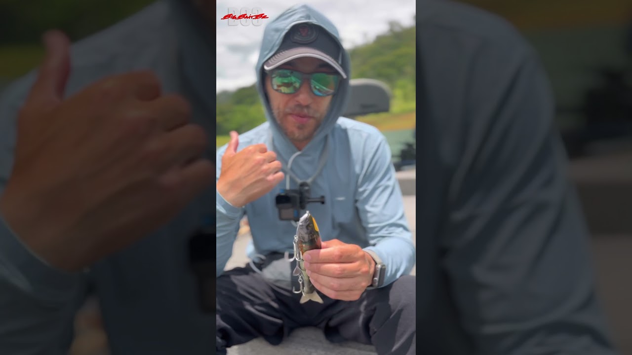 BigBait Jackall Dowzswimmer 180sf - pescaria de tucunar&eacute; - BigBaitBr #bigbait #pesca