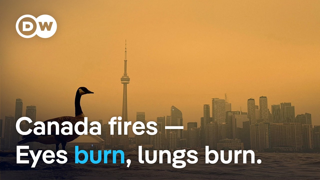 Orange skies and toxic air: Ontario wildfires spread smoke across North America | DW News