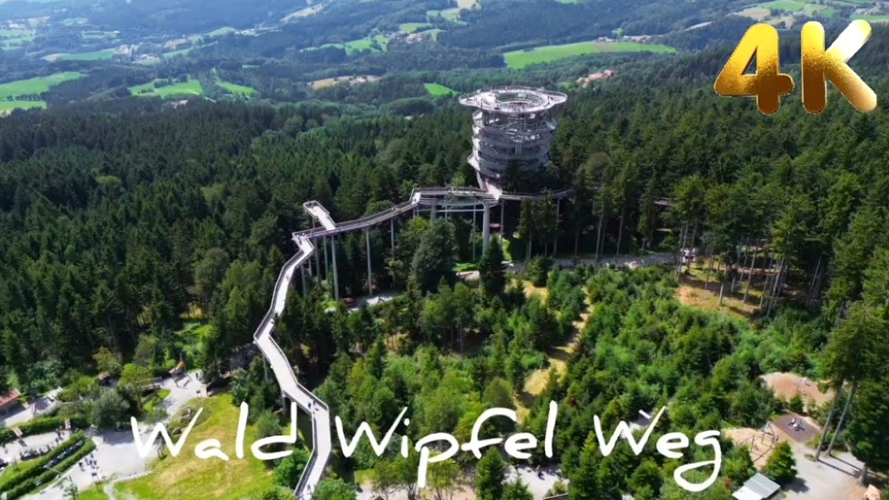 Wald Wipfel Weg  in Sankt Englmar Maibrunn Waldturm  Haus am Kopf  Kugelhaus Bayern Waldwipfelweg