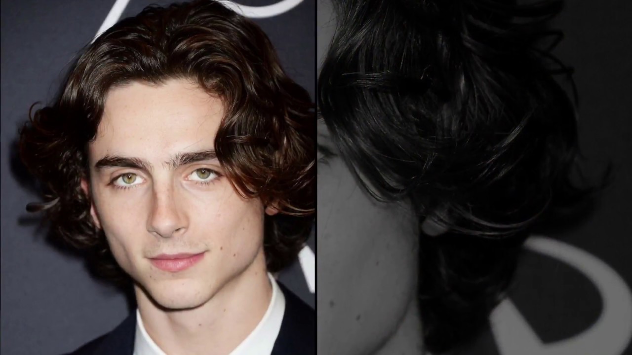 ...Ready For It? - Timothée Chalamet