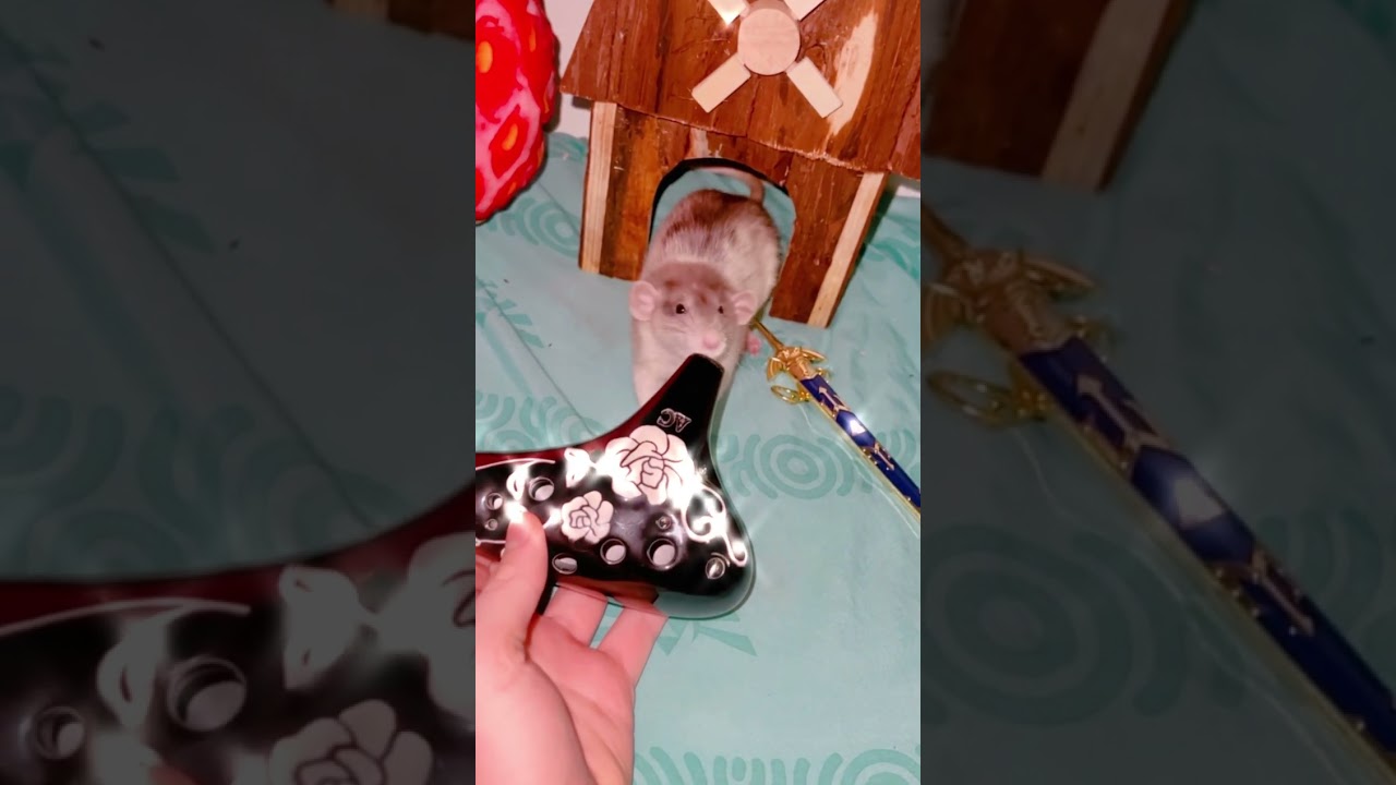 Жуткие скелеты, которых играет Крыса 🐀💀 #FreckledZelda