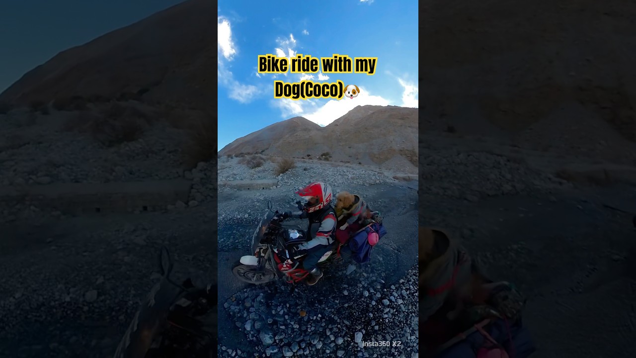 3500 km Ladakh Bike ride with my Coco ! Ladakh bike ride ! Delhi to Leh Ladakh @HimalayanAmit