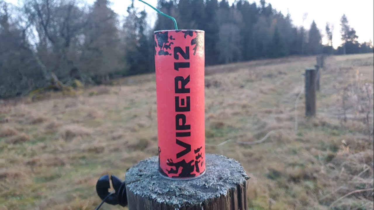 Viper 12 [NEW] XXL Tschechenböller Riesenböller