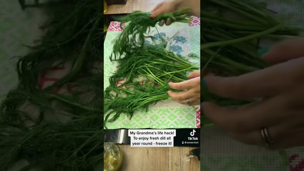 How to preserve fresh herbs e.g. dill, parsley, mint.