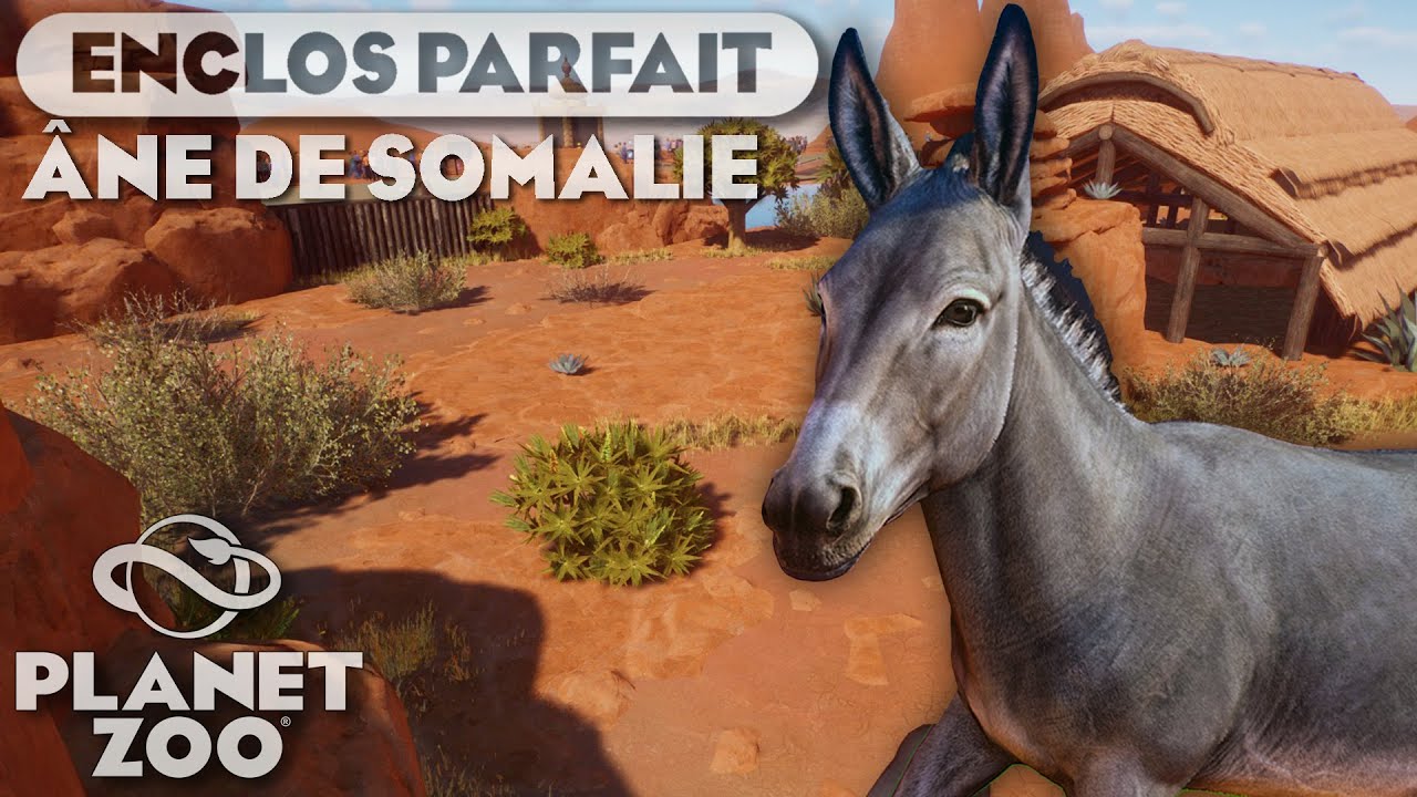 D&eacute;sert pour l&rsquo;&acirc;ne de Somalie| LES ENCLOS PARFAITS : &Eacute;PISODE 126 | PLANET ZOO
