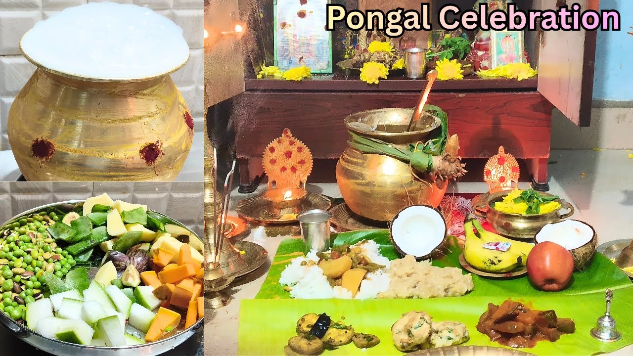 அனைவருக்கும் பொங்கல் திருநாள் நல்வாழ்த்துக்கள் மகிழ்ச்சியுடன் கொண்டாடுவோம் | Pongal Celebration 2026