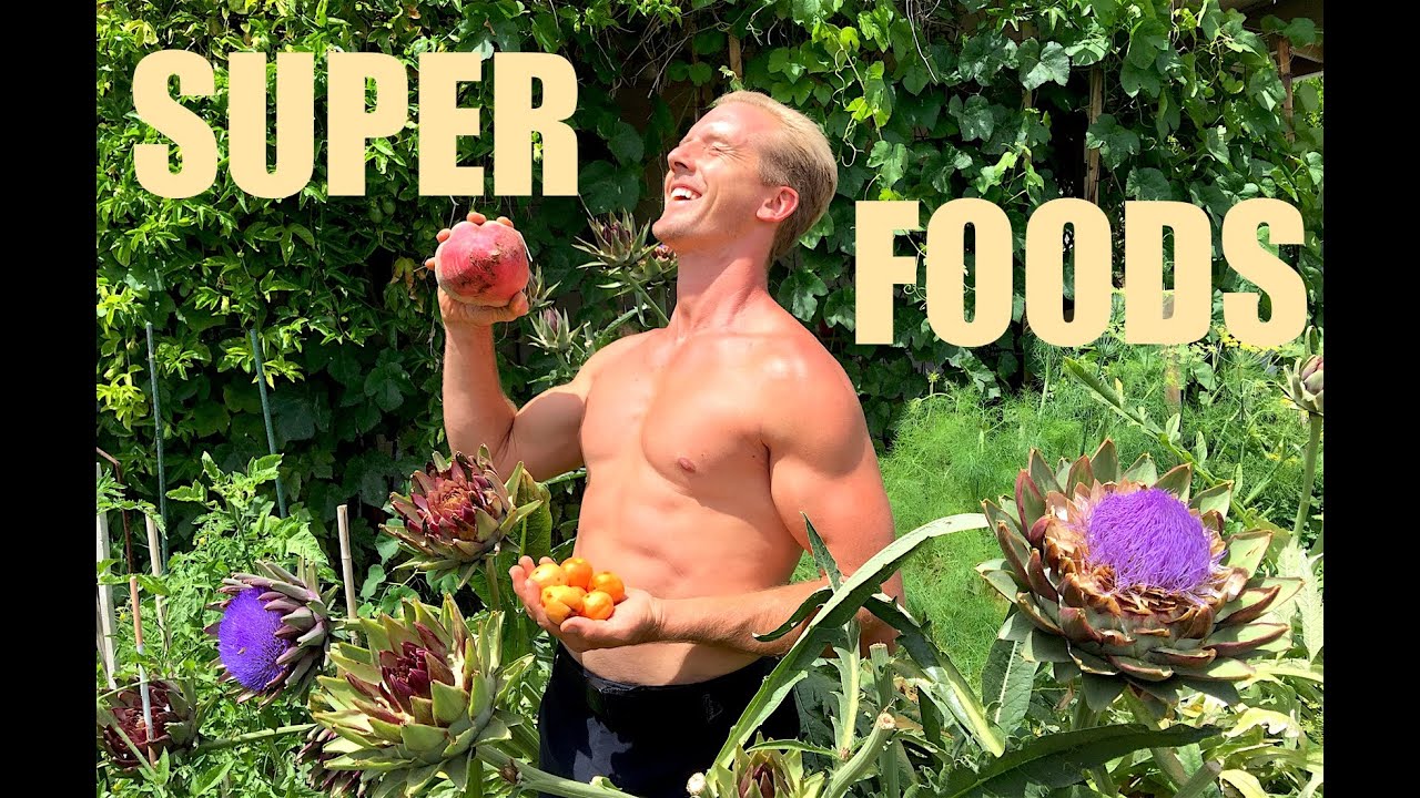 Secret SUPERFOODS for Health & Mastery of MARTIAL ARTS!!!