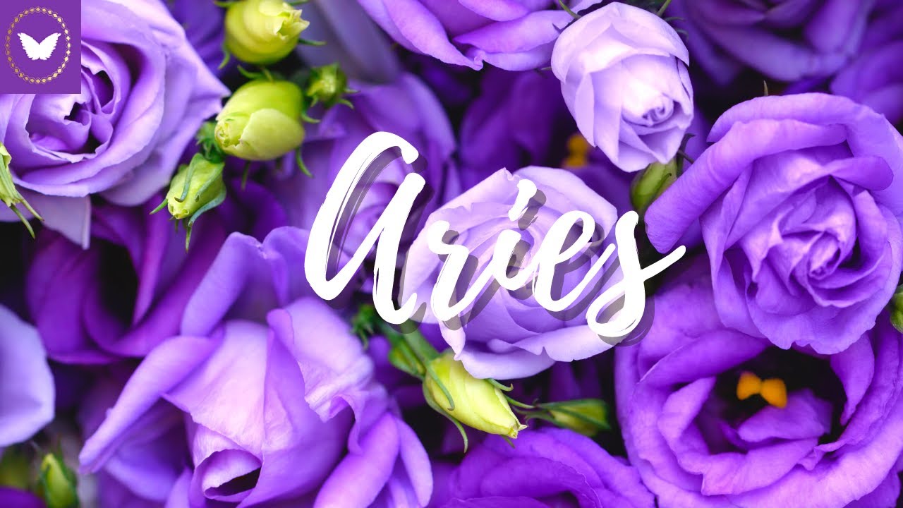 Aries they know they are meant to be with you! 💖 December 2021 Tarot Reading