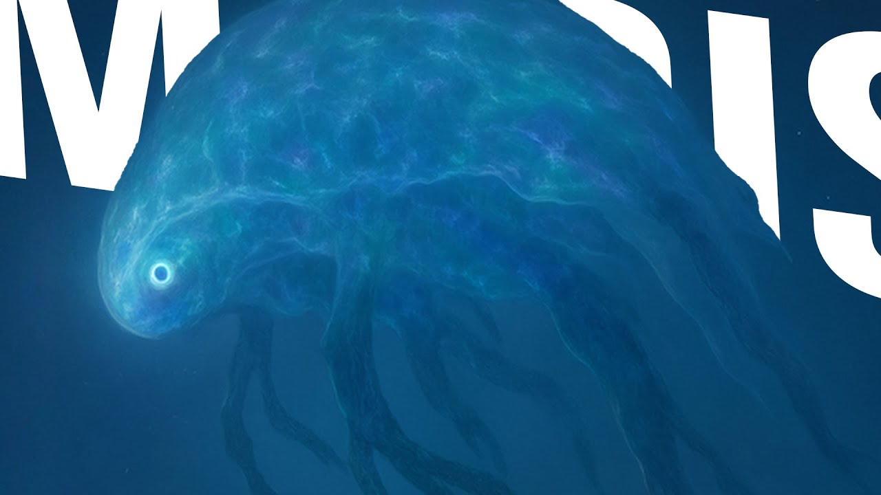 MARIS,OCEANS DE LA NUIT ! (Elden Ring Nightreign)