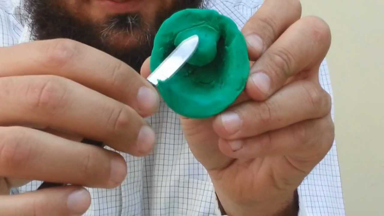 Embryology Part 2