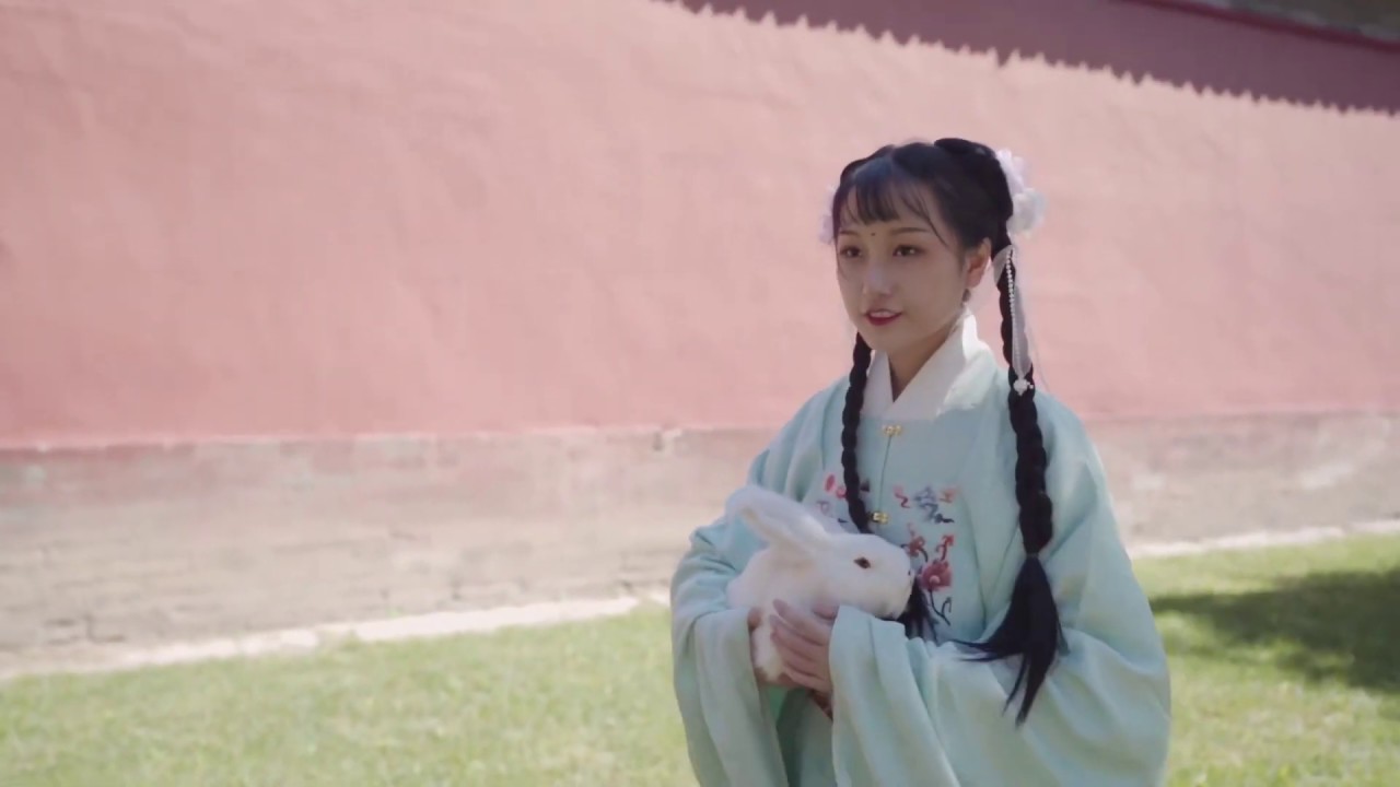 Chinese hanfu girl in forbidden city in Beijing