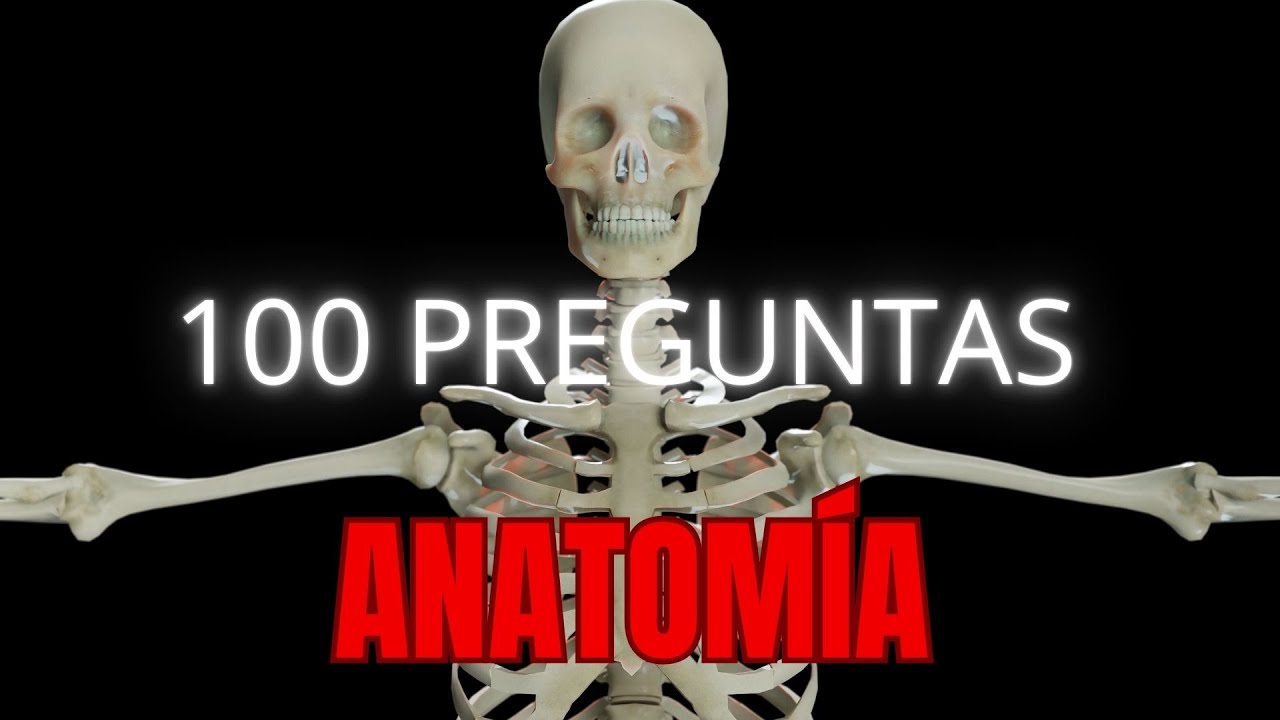 OPOSICIONES : Claves para aprobar / 100 PREGUNTAS  ANATOM&Iacute;A