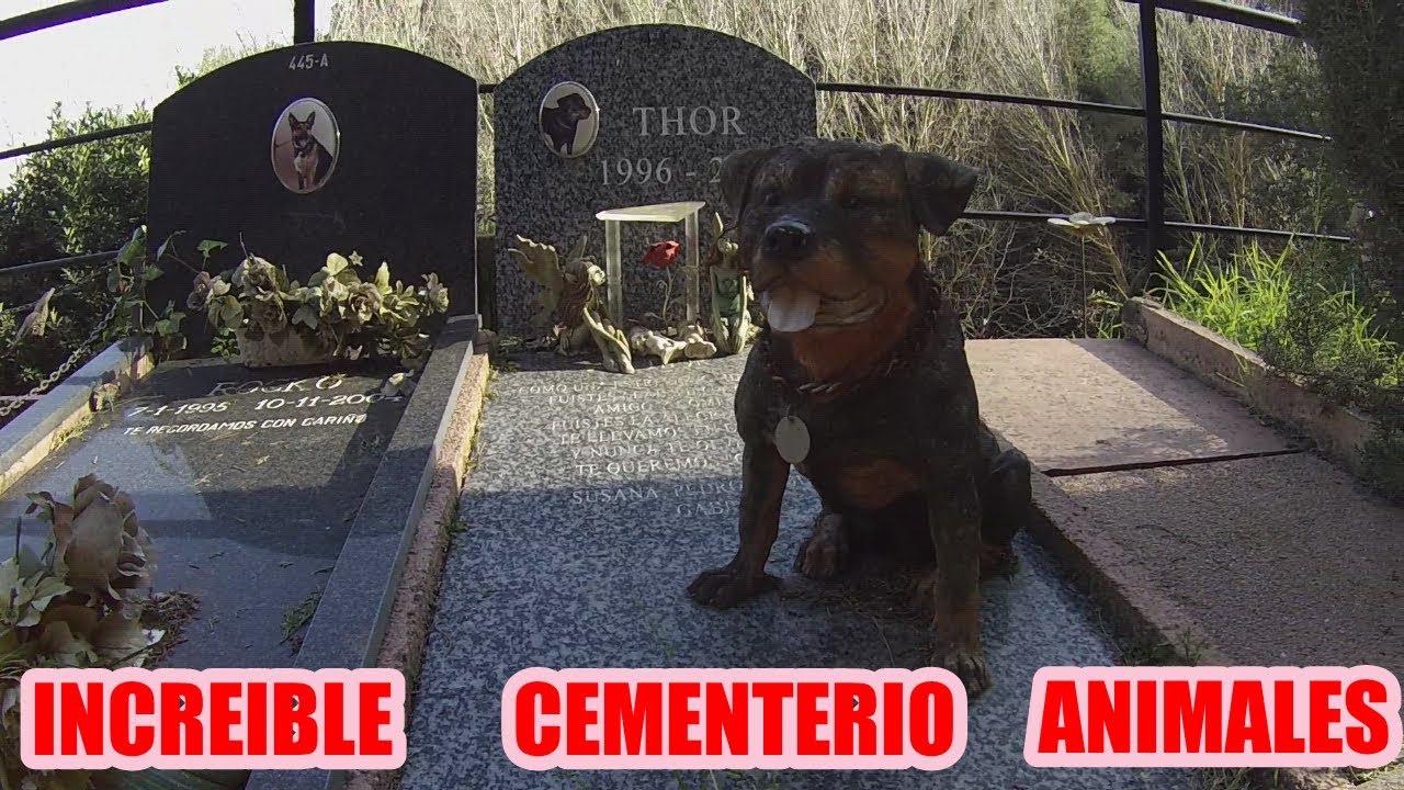ESPECTACULAR CEMENTERIO DE MASCOTAS! URBEX WOMAN