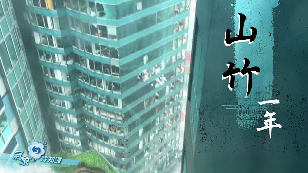 山竹一年