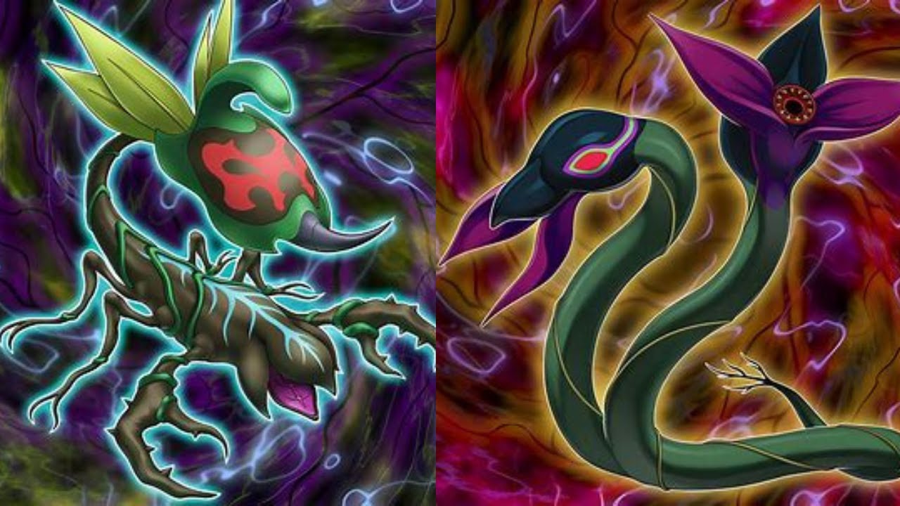MY PREDAPLANT DECK PROFILE JUNE 2025
