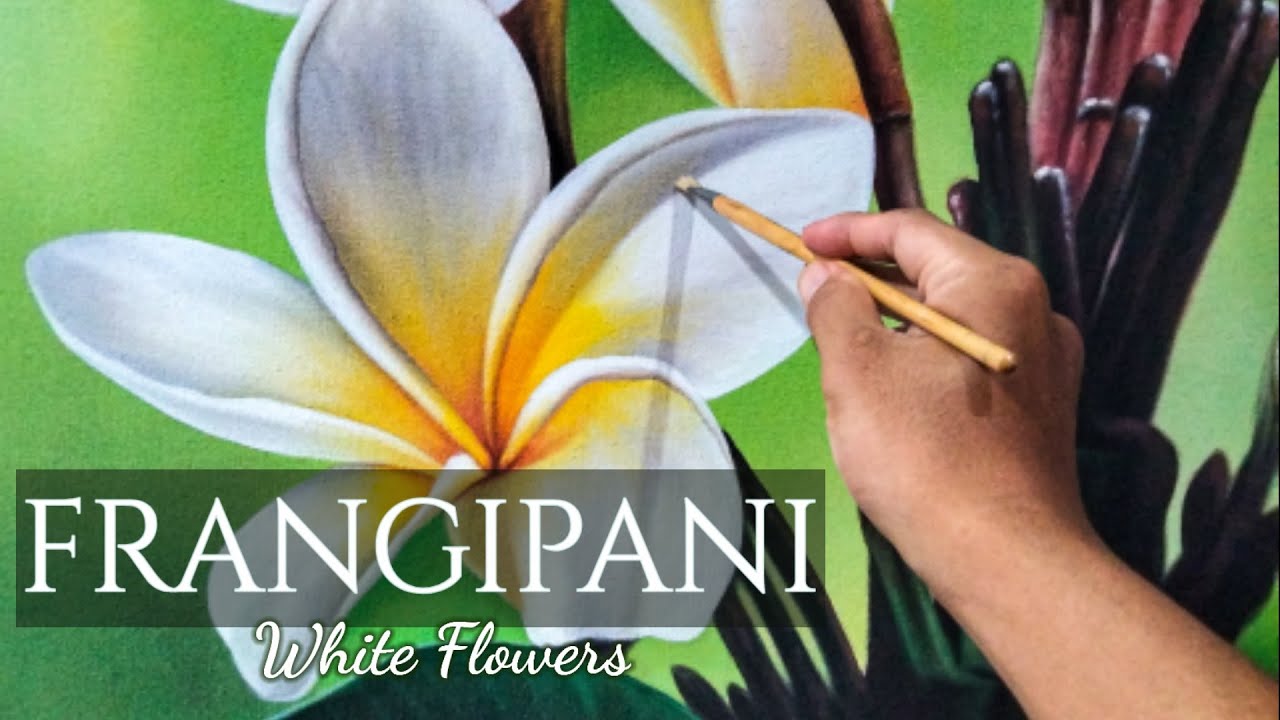 PLUMERIA Acrylic Painting  l Frangipani Flower Painting l Timelapse l Melukis bunga - ziq art