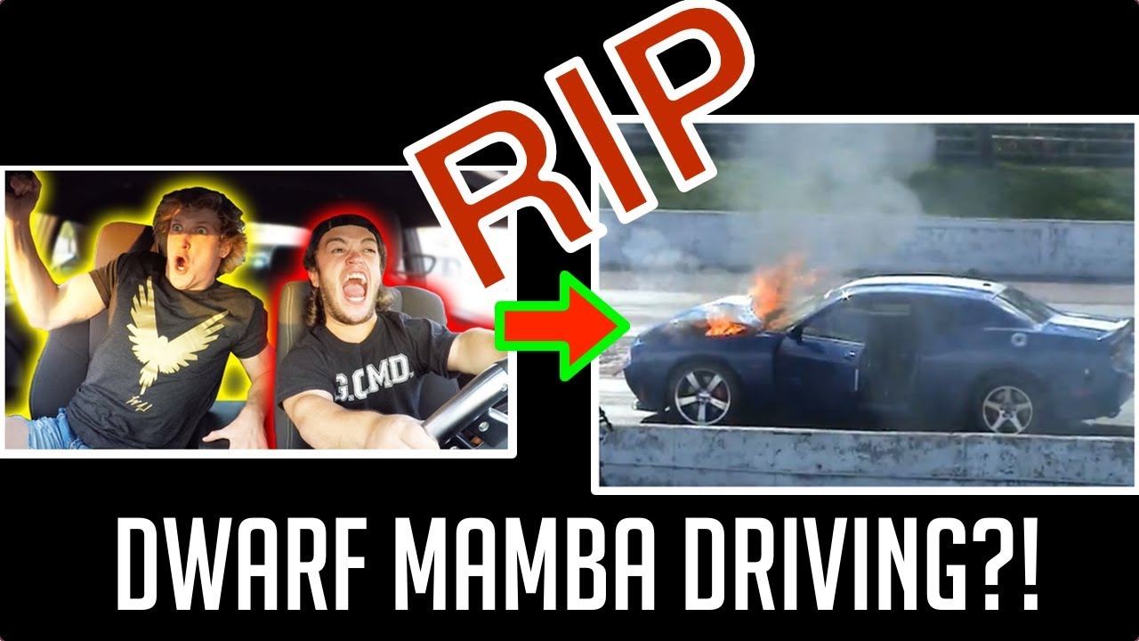 DRIVING WITH EVAN FUNNY MOMENTS AND ROAD RAGE COMPILATION! NEAR DEATH + CRASH