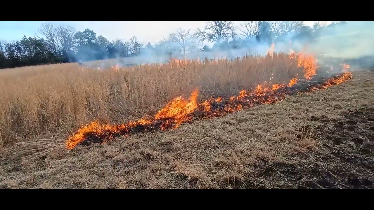 It's Pasture Clearing Time Again! Burning Off The Fields 1 27 2025