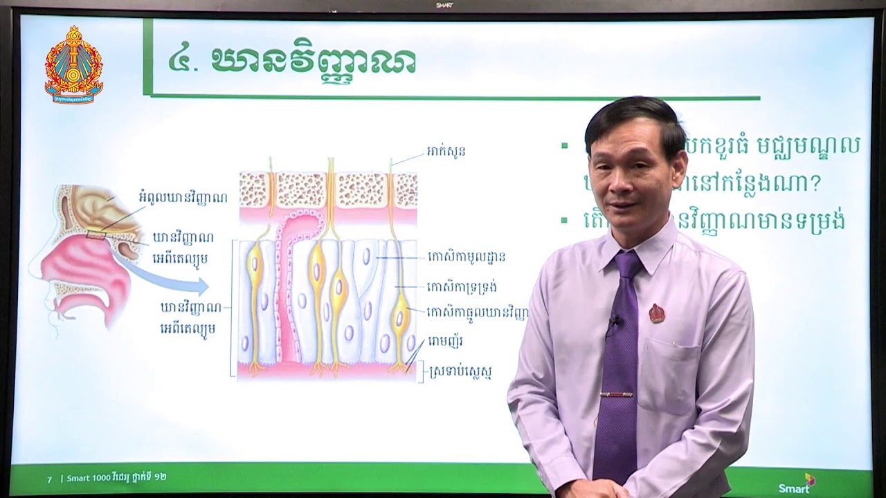 ជីវវិទ្យា ថ្នាក់ទី១២ ជំពូកទី៣ មេរៀនទី២៖​ សរីរាង្គវិញ្ញាណ (ភាគទី៩)