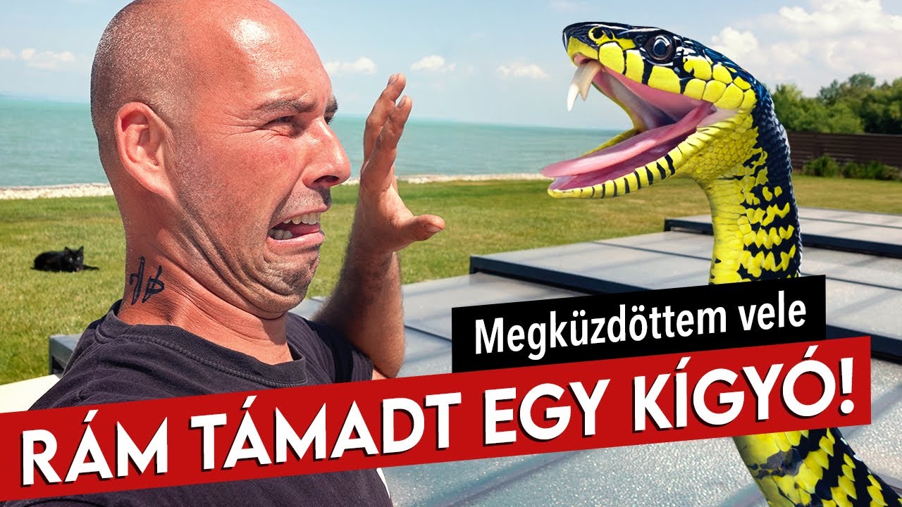 Kapumotor vs. szörnyeteg! - Egy hihetetlen találkozás története - Csak szülői felügyelettel nézd!