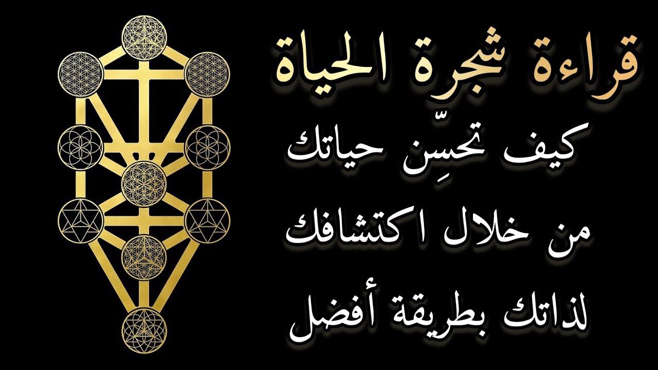 تاروت 🧧 - كيف تحسِّن حياتك من خلال إكتشافك لذاتك بطريقة أفضل 🥇🏆- قراءة شجرة الحياة 🌳