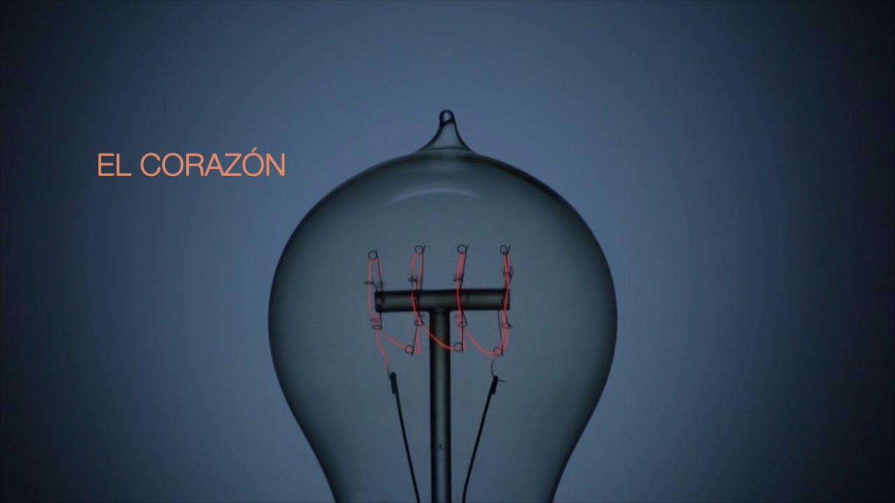 EL CORAZÓN