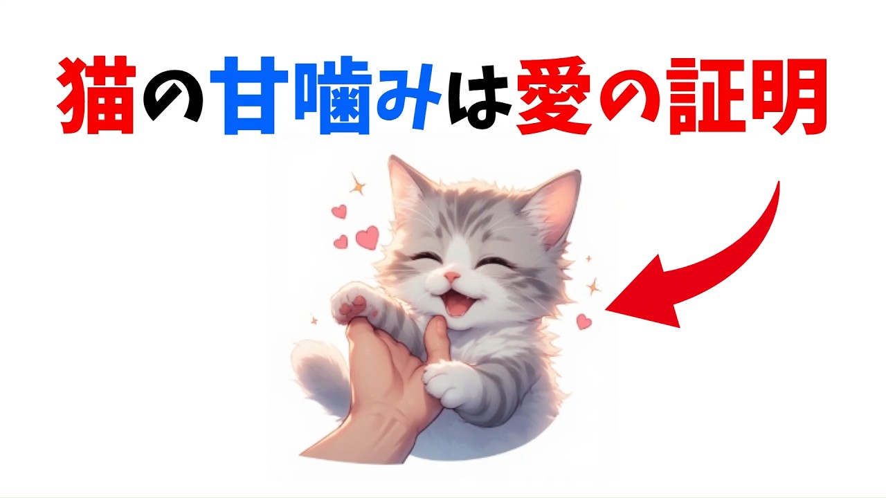 【愛の証明】猫が飼い主を甘噛みする意外な心理10選