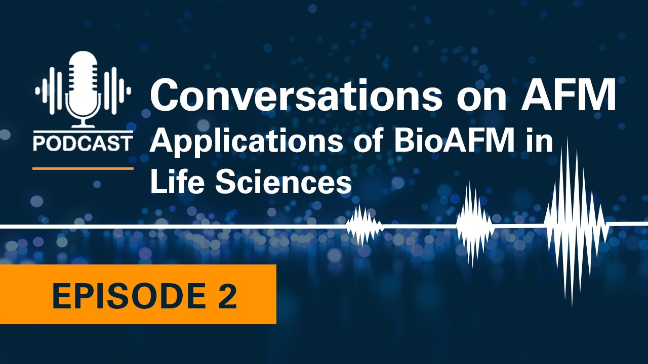 Conversations on AFM #2: Applications of BioAFM in Life Science
