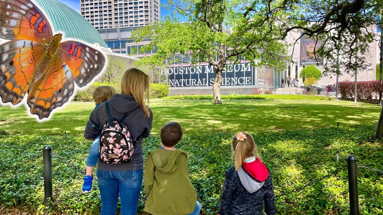 Family fun in Houston, Texas | Cockrell Butterfly Center