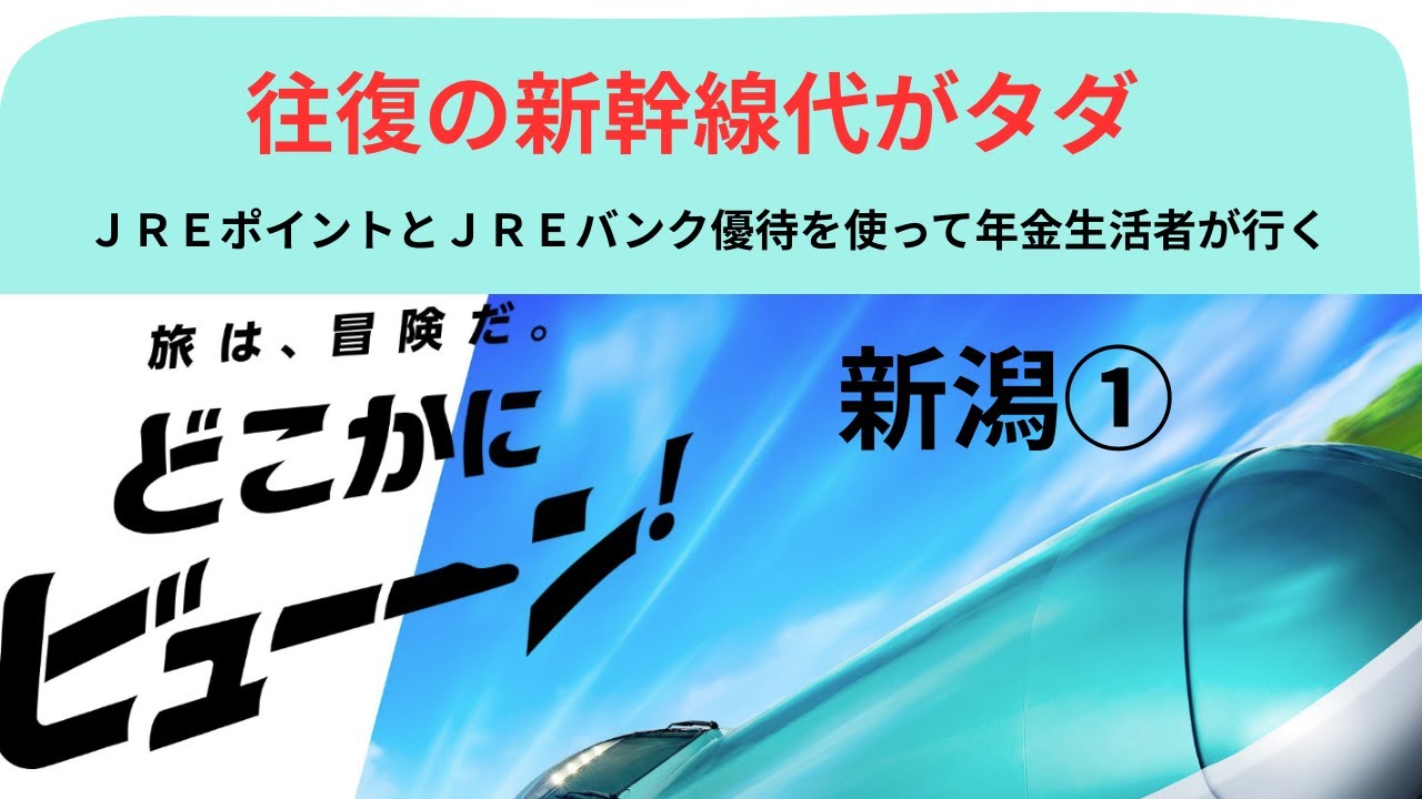 どこかにビューン新潟①