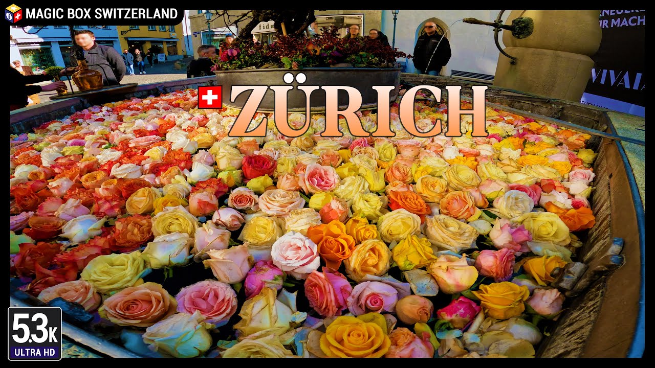 Zürich City 5.3K 🇨🇭 Ep#1 - Zurich Old Town Walking Tour in Switzerland - Rose Filled Fountain