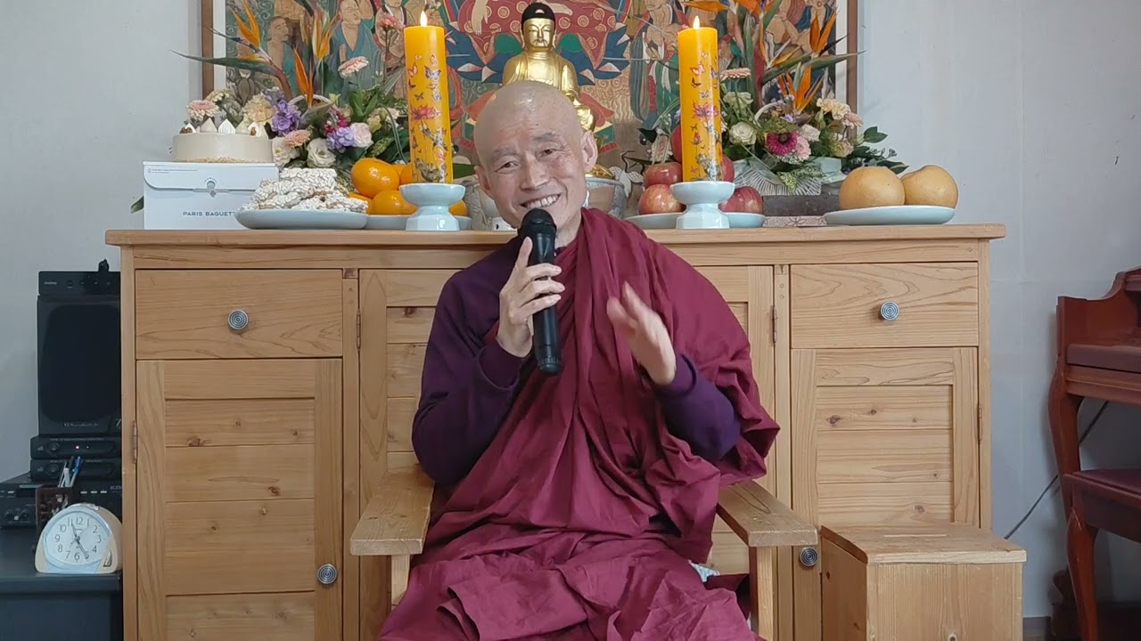 생명이고 죽음인것(260301 보리도량우빤야사야도님법문)