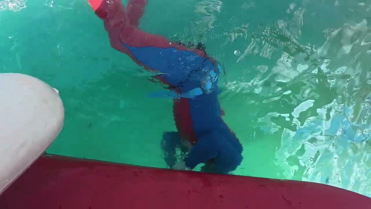 Underwater services"Piranha Service" by Smarteye
