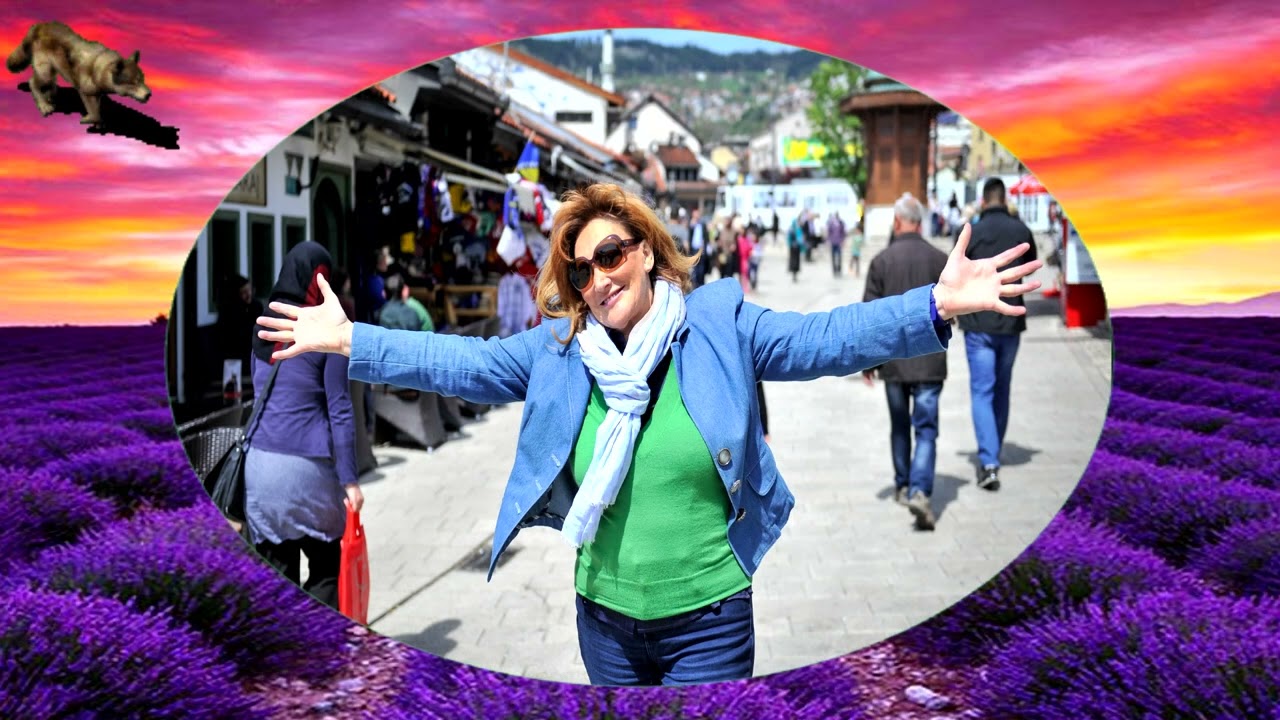 TEREZA KESOVIJA-JA SLIJEDIM SVOJU ZVIJEZDU (TEKST)