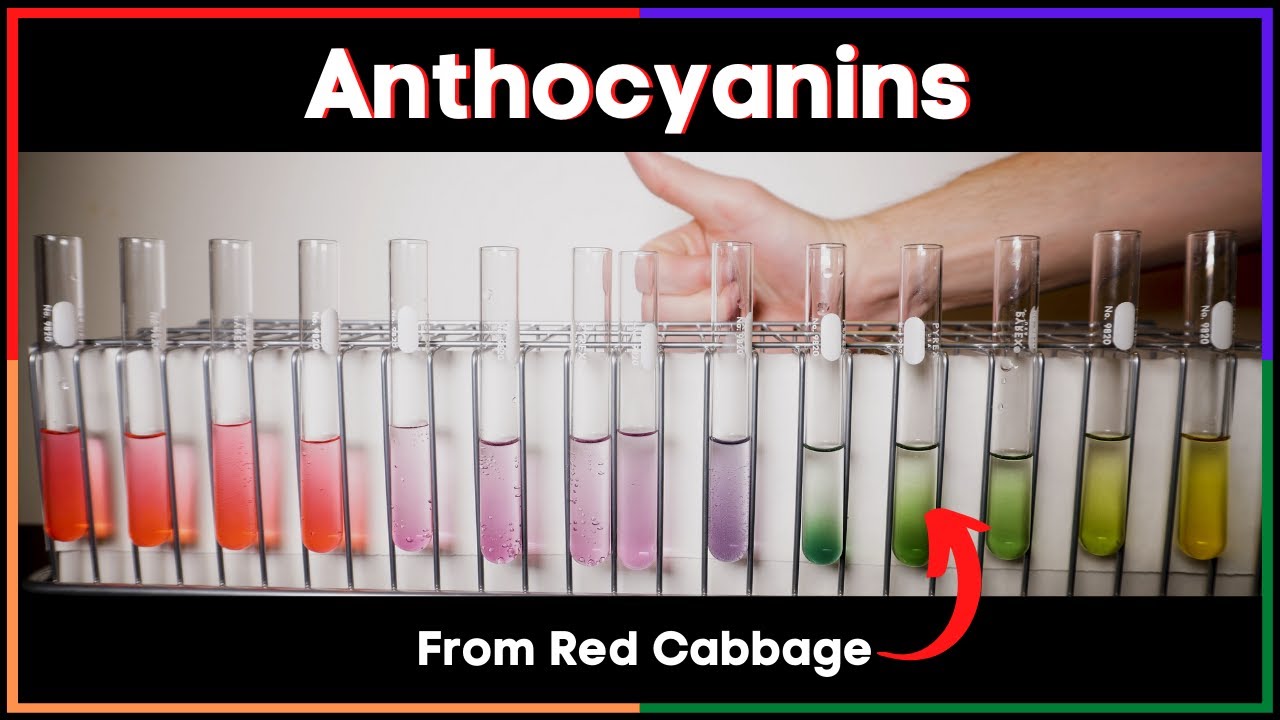 A chemical that changes color with pH #pH #extraction #chemical